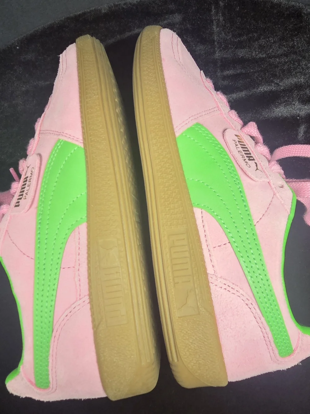 Puma Palermo Special 